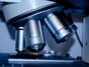 EMA grants PRIME designation for MIC-Lx therapy for donor-specific immune tolerance in kidney transplantation