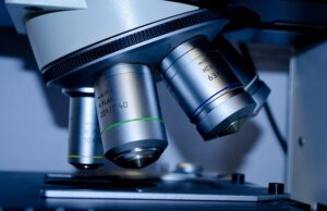 EMA grants PRIME designation for MIC-Lx therapy for donor-specific immune tolerance in kidney transplantation