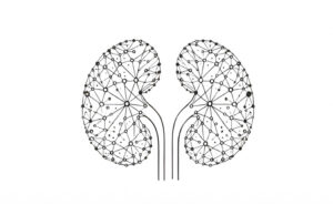 MultiOmic Health announces discovery of novel endotypes and biomarkers for diabetic kidney disease