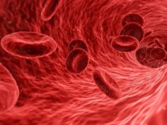 First patient treated in US trial of renal pelvic denervation technology